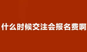 注會考試報名什么時候交費啊？