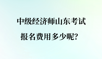 中級經濟師山東考試報名費用多少呢？