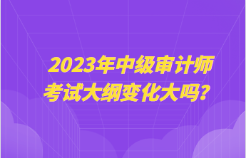 2023年中級審計師考試大綱變化大嗎？