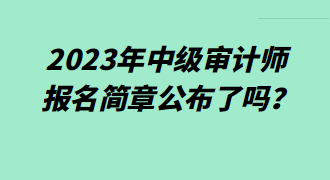 2023年中級審計師報名簡章公布了嗎？