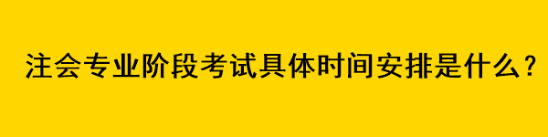 注會專業階段考試具體時間安排是什么？