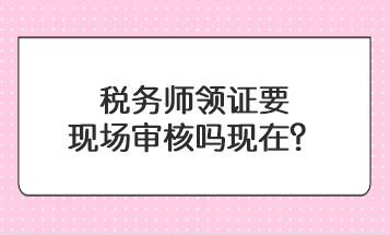 稅務師領證要現場審核嗎現在？