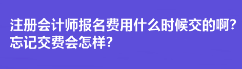 注冊會計師報名費用什么時候交的啊？忘記交費會怎樣？