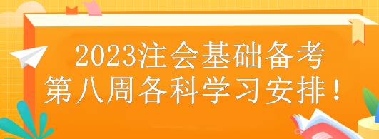 2023注會基礎備考第八周各科學習安排！
