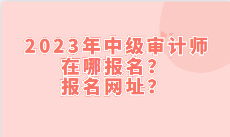 2023年中級審計師在哪報名？報名網址？