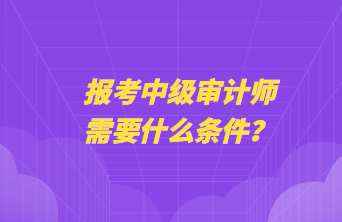 報考中級審計師需要什么條件？