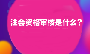 注會考試報名之后審核什么啊？