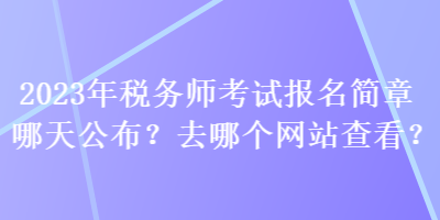 2023年稅務師考試報名簡章哪天公布？去哪個查看？