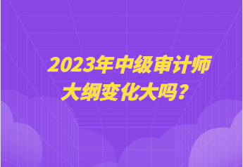 2023年中級審計師大綱變化大嗎？