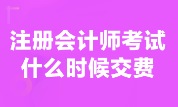 現在可以交注冊會計師報名費嗎？