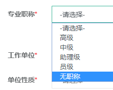 專業職稱