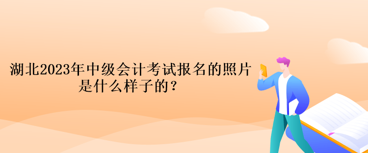 湖北2023年中級會計考試報名的照片是什么樣子的？