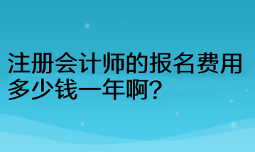 注冊會計師的報名費用多少錢一年啊？