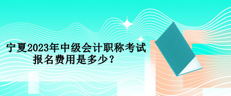 寧夏2023年中級(jí)會(huì)計(jì)職稱考試報(bào)名費(fèi)用是多少？