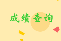 河北省2023年初級(jí)會(huì)計(jì)考試成績(jī)公布了嗎？