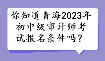 你知道青海2023年初中級(jí)審計(jì)師考試報(bào)名條件嗎？