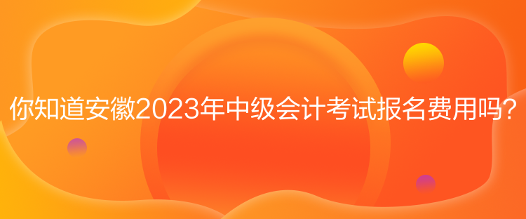 你知道安徽2023年中級會計考試報名費用嗎？