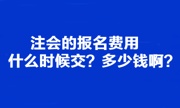 注會的報名費用什么時候交？多少錢啊？