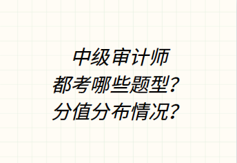 中級(jí)審計(jì)師都考哪些題型？分值分布情況？