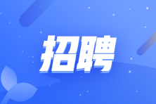 大信會計師事務所(特殊普通合伙)四川分所招聘審計助理