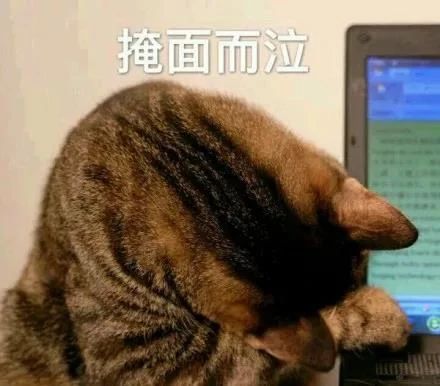 中級考試，僅剩13天？！