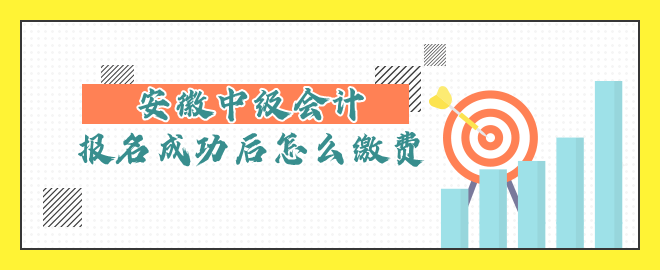 安徽中級會計報名成功后怎么繳費