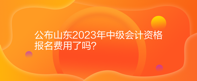 公布山東2023年中級會計資格報名費用了嗎？