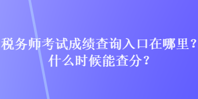 稅務(wù)師考試成績查詢?nèi)肟谠谀睦铮渴裁磿r候能查分？