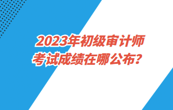 2023年初級審計師考試成績在哪公布？