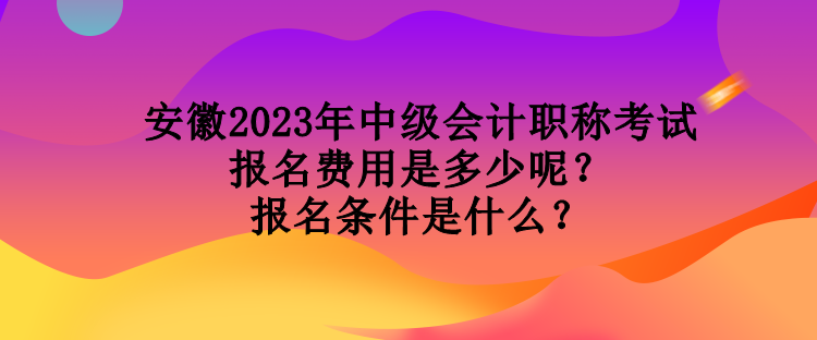 安徽2023年中級會計職稱考試報名費用是多少呢？報名條件是什么？