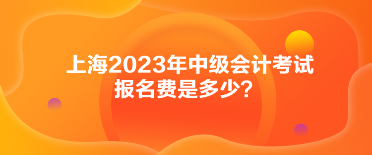 上海2023年中級(jí)會(huì)計(jì)考試報(bào)名費(fèi)是多少？