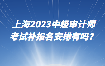 上海2023中級審計師考試補報名安排有嗎？