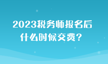 2023稅務師報名后什么時候交費？