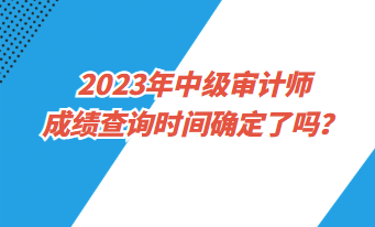 2023年中級(jí)審計(jì)師成績(jī)查詢時(shí)間確定了嗎？