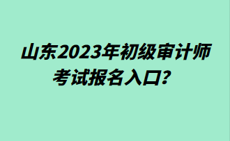 山東2023年初級審計師考試報名入口？