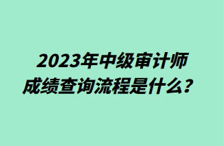 2023年中級審計師成績查詢流程是什么？