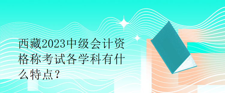 西藏2023中級會計資格稱考試各學科有什么特點？