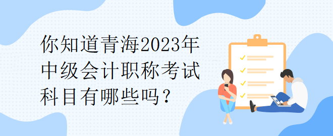 你知道青海2023年中級(jí)會(huì)計(jì)職稱考試科目有哪些嗎？