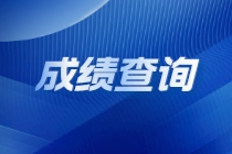 國際注冊內部審計師查分入口是什么？