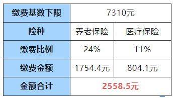靈活就業(yè)人員請注意，本月起您的社保繳費額有調(diào)整！