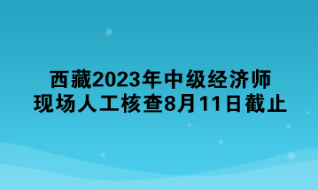 西藏2023年中級經濟師現場人工核查8月11日截止 抓緊！