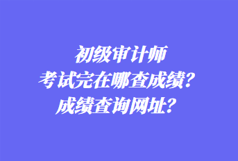 初級(jí)審計(jì)師考試完在哪查成績(jī)？成績(jī)查詢(xún)網(wǎng)址？