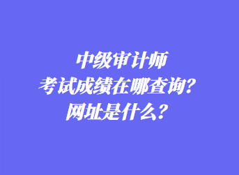 中級審計師考試成績在哪查詢？網址是什么？