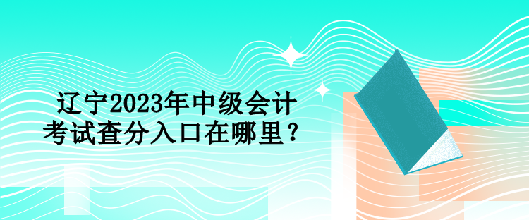 遼寧2023年中級(jí)會(huì)計(jì)考試查分入口在哪里？