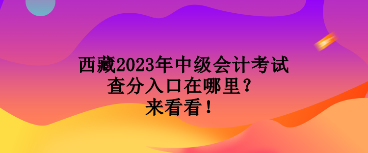 西藏2023年中級會計考試查分入口在哪里？來看看！