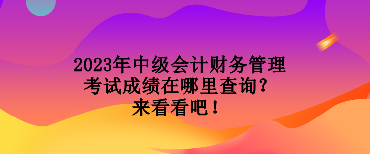 2023年中級(jí)會(huì)計(jì)財(cái)務(wù)管理考試成績(jī)?cè)谀睦锊樵儯縼?lái)看看吧！