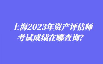 上海2023年資產評估師考試成績在哪查詢？