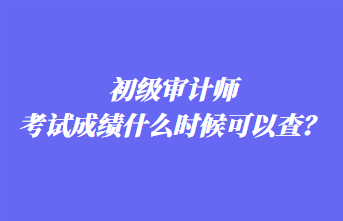 初級審計師考試成績什么時候可以查？