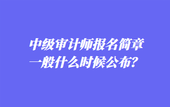 中級(jí)審計(jì)師報(bào)名簡(jiǎn)章一般什么時(shí)候公布？