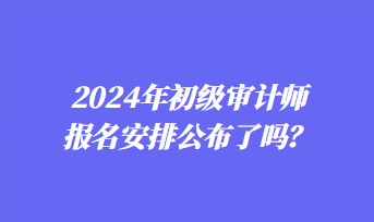 2024年初級審計師報名安排公布了嗎？